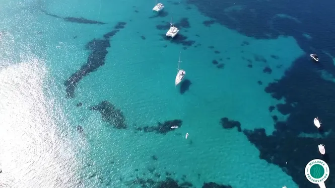 Mallorca Preservation crea l’Observatori Mediambiental de l’illa