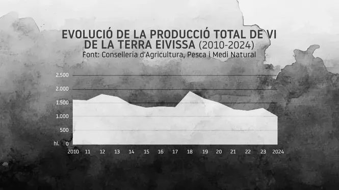 Vi de la Terra d’Eivissa: 2024 registrà la pitjor producció dels darrers 14 anys per la sequera i els tudons