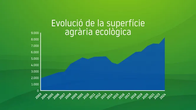 Menorca lidera l’agricultura ecològica a les Balears