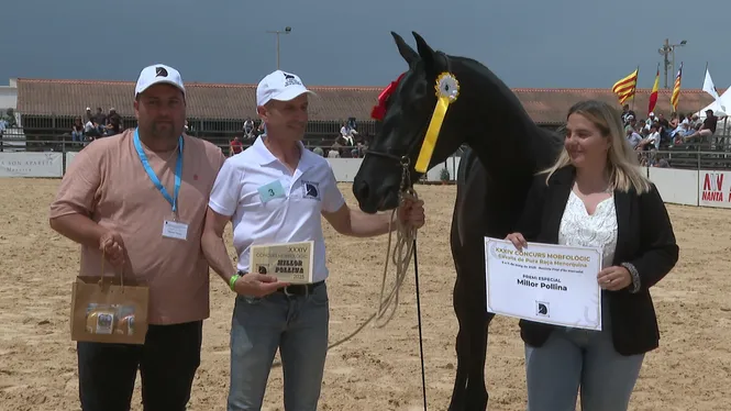 Jesko i Nitja, grans campions a la Fira del Cavall de Pura Raça Menorquina 2025