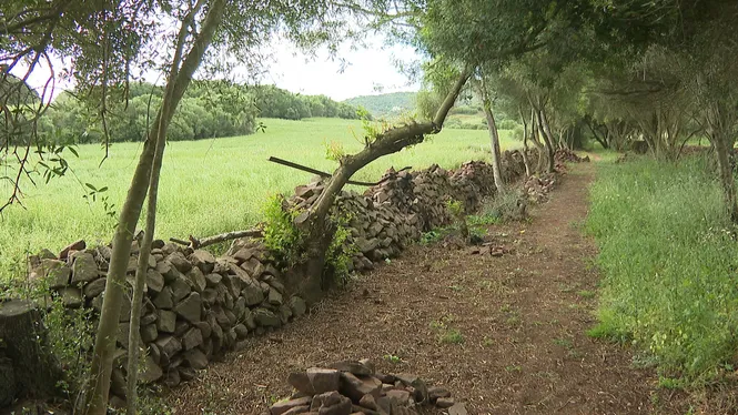 Micromecenatge per arreglar el Camí d’en Kane