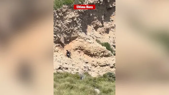 Ferit amb múltiples contusions després de caure cinc metres avall al Coll Baix, a Alcúdia