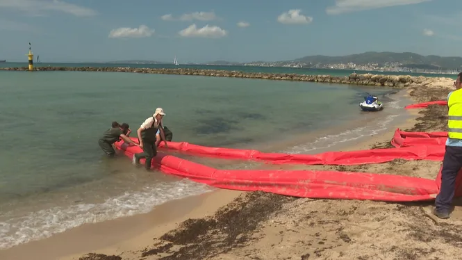 Emergències 112 fa un simulacre de contaminació marina a platja de Ciutat Jardí, a Palma