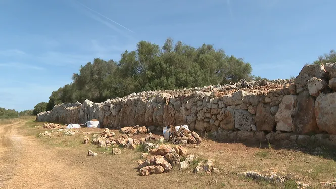 La muralla de Son Catlar recupera la seva màxima esplendor