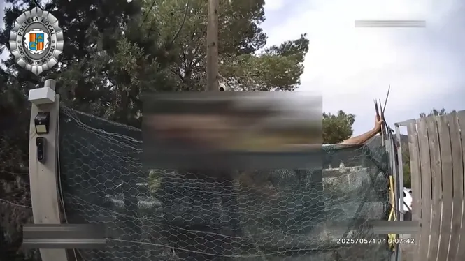 La Policia local de Sant Josep denuncia la proliferació de festes il·legals