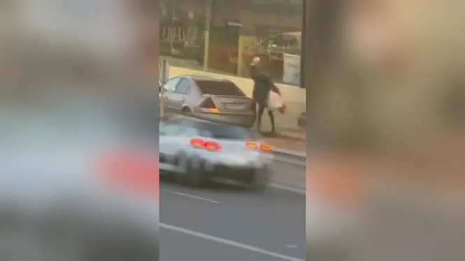 A disposició judicial la dona acusada de trencar els vidres d’una vintena de cotxes a Vila