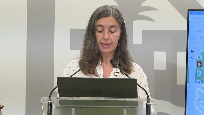 La nova llei d’habitatge podria suposar un increment de 380.000 habitants a Palma