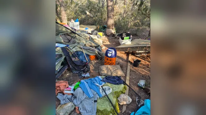 Santa Eulària denuncia 24 caravanes i retira 3,5 tones de residus del bosc