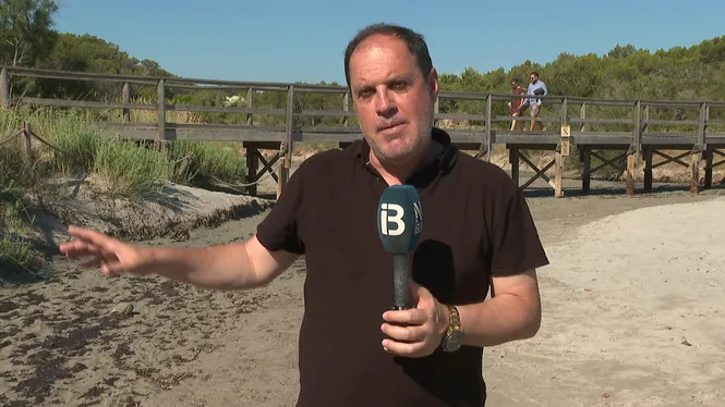 La gola de l’Albufera des Grau torna a estar tancada per la manca de pluges i el Govern ja prepara de nou les excavadores