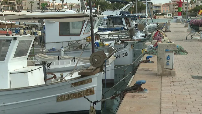 Ajuts del Consell per al sector de la pesca de la Colònia de Sant Jordi