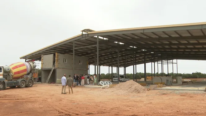 1’5 milions d’euros per modernitzar la vaqueria més gran de Mallorca