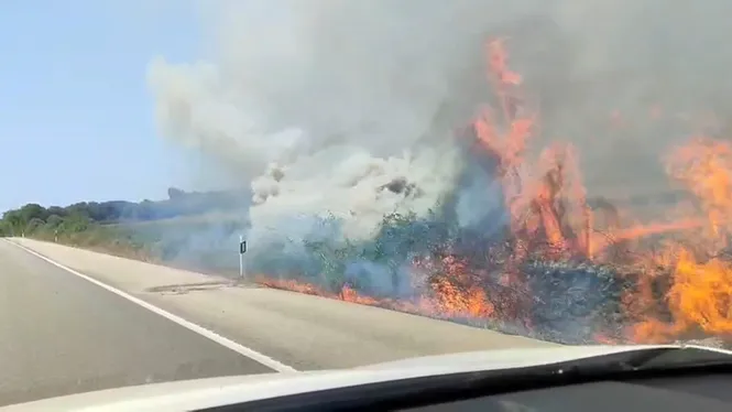 Els bombers extingeixen després de 5 hores l’incendi que cremà sis hectàrees al Pla Verd