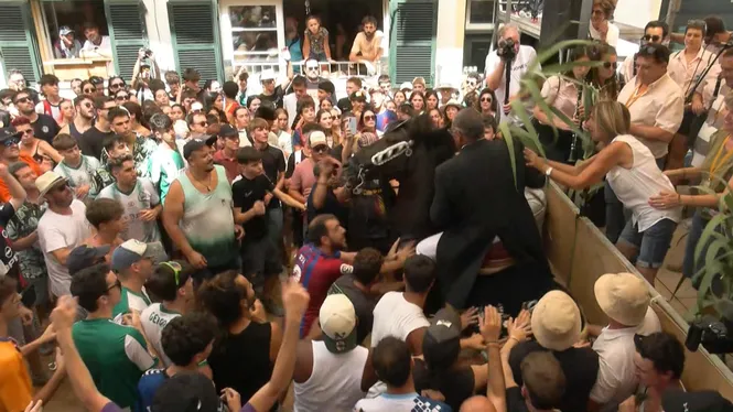 Un cavall al jaleo des Migjorn arrabassa el dit d’una turista d’una mossegada