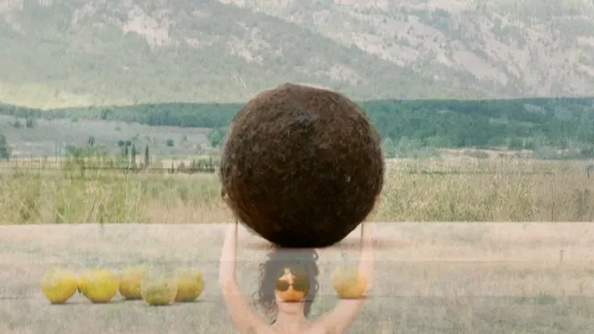 Una bola de pèl, una performance… i una història d’amor