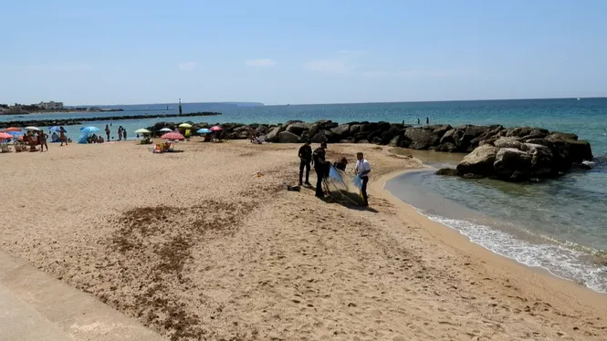 Mor negat un home de 84 anys al Molinar de Palma