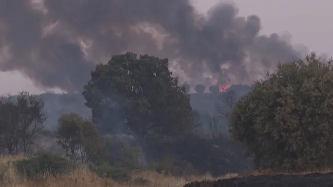 Feijóo reclama més mitjans de l’Exèrcit contra els incendis