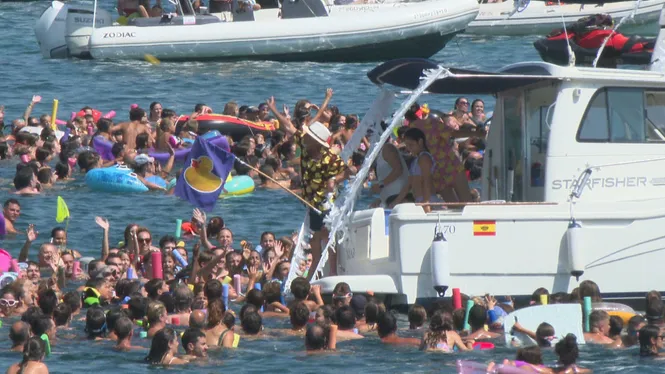 Multitudinària amollada d’ànneres a Can Picafort