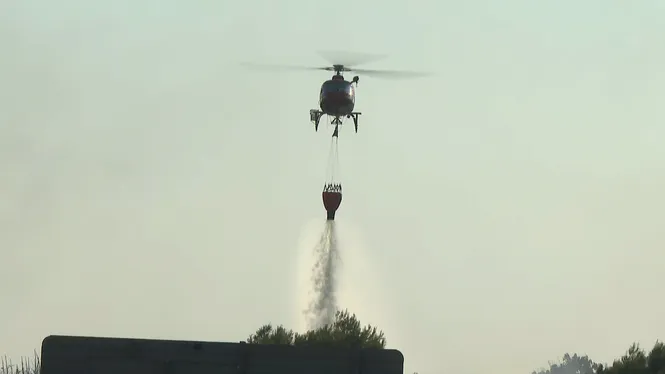 Tres hectàrees cremades per l’incendi agricola a Manacor
