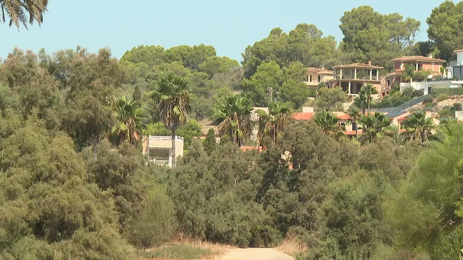 Llum verda a la construcció de 77 xalets nous a s’Estany d’en Mas