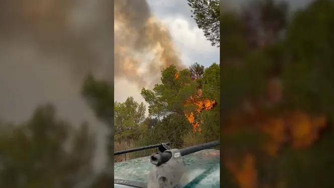Un+llamp+causa+un+incendi+a+Cala+Carb%C3%B3