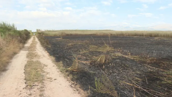 Tres dels sis focus de l’incendi intencionat a s’Albufera s’han detectat prop de la depuradora de Muro