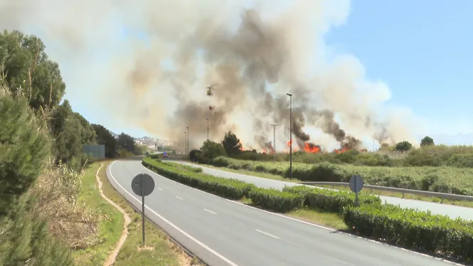 El 90% dels incendis són causats per l’acció humana
