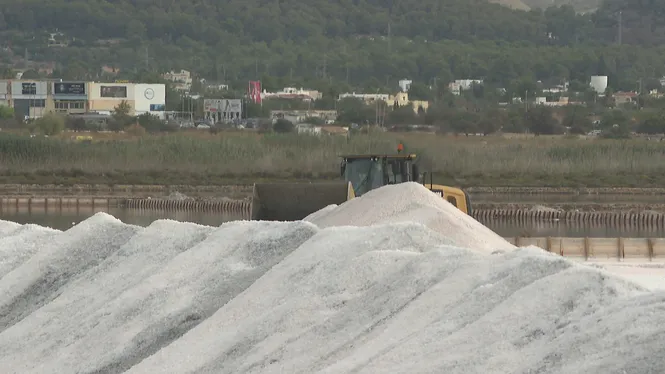 Arranca la campanya de la sal a Eivissa amb la previsió d’extraure 80.000 tones