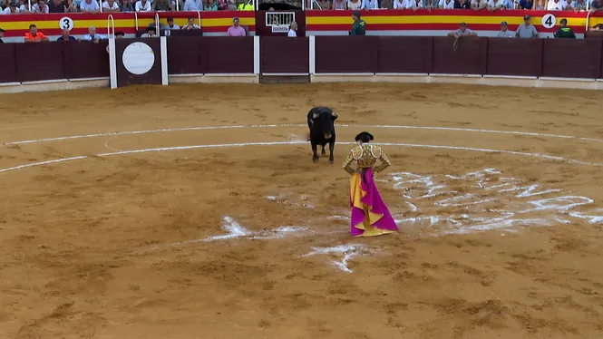 Les corregudes de toros tornen a Muro