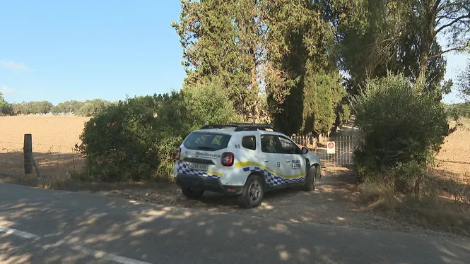 Investiguen si han escampat gallinassa a la finca on s’havia de construir la macrogranja de Sineu
