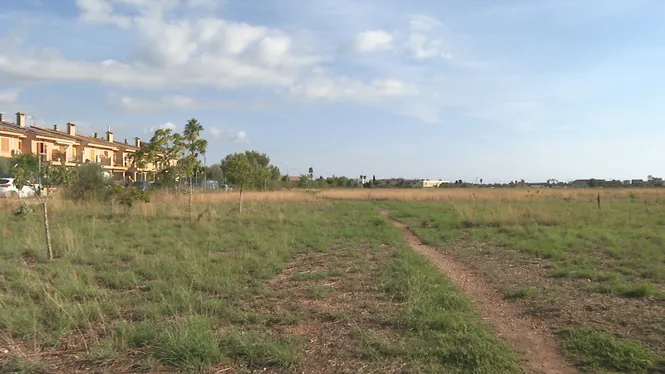 Aena tira pel dret i inclou el parc fotovoltaic de Son Bonet en el pla d’inversions fins al 2031