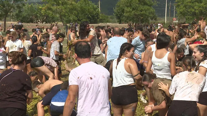 Binissalem celebra la batalla del raïm, les festes des Vermar ja són aquí