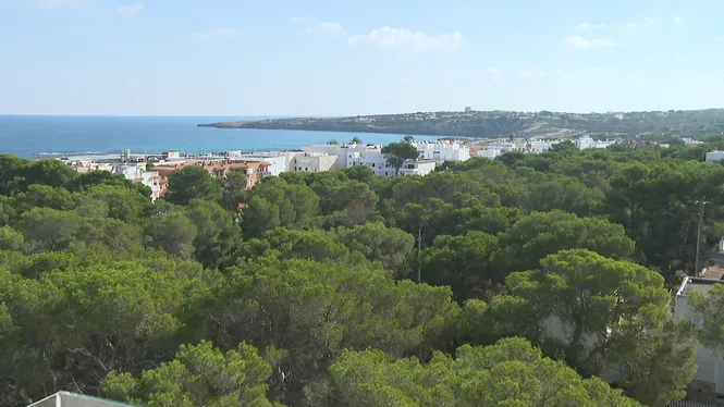 Mantenir l’essència de Formentera i seguir amb les polítiques de sostenibilitat