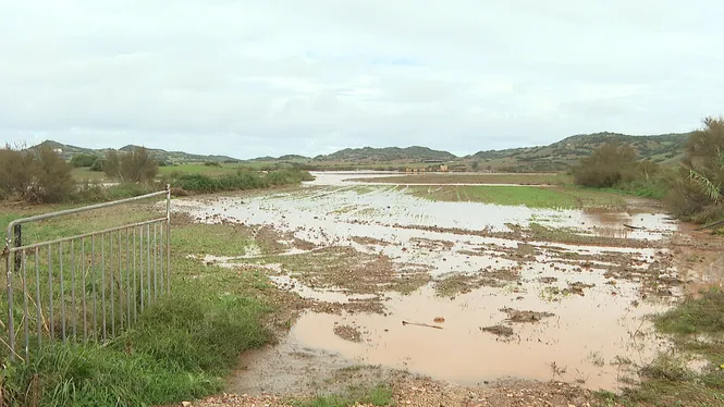L’amo de Ses Cases Noves, després del nou desbordament: “Els torrents no estan com haurien d’estar”