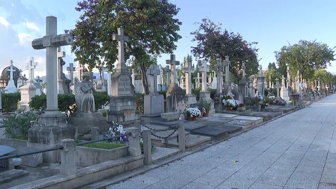 Per Tots Sants, flors: el sector preveu una bona campanya