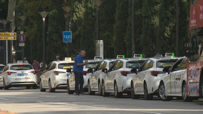 Temporada fluixa per al sector del taxi a excepció de juliol i agost