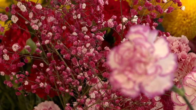 Clavells, estranys i roses, el més demandat per Tots Sants a Eivissa