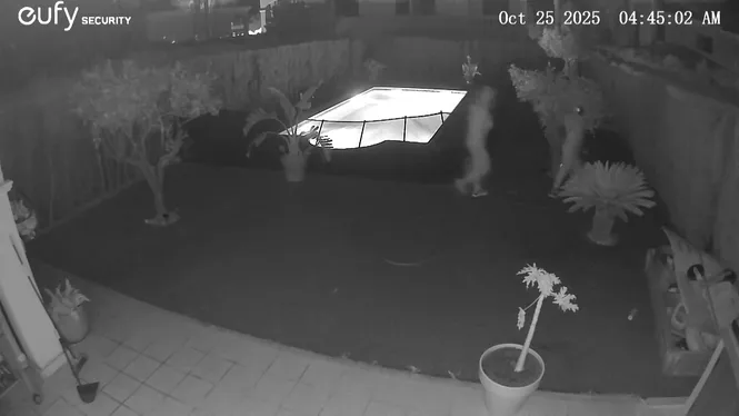 Tornen a denunciar robatoris a cases de s’Arenal i Maioris, a Llucmajor