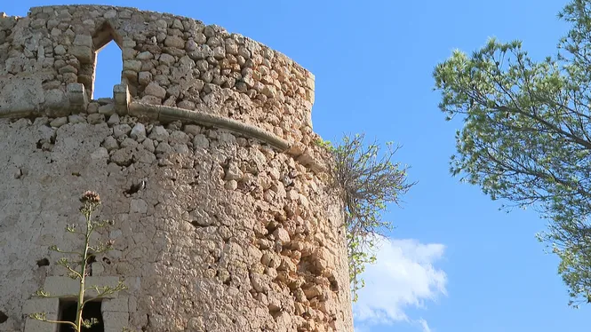 Comencen la neteja i l’adequació de sa Torre Nova de Calvià
