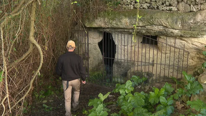 Sis+investigadors+publiquen+un+estudi+dels+65+gravats+de+la+cova+de+s%E2%80%99Estable+de+Ma%C3%B3