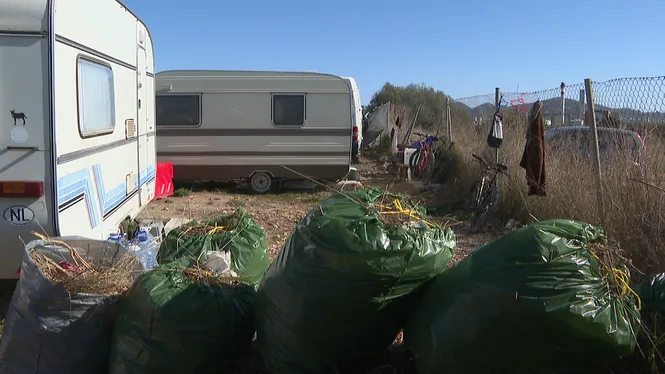Recullen cinc tones de fems a la setmana a l’assentament de sa Joveria