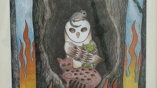 Xarxa Forestal compleix 20 anys