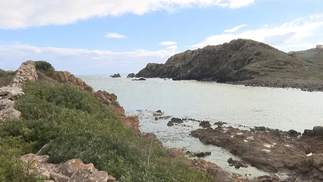 El Temps Vespre 23-11-2025