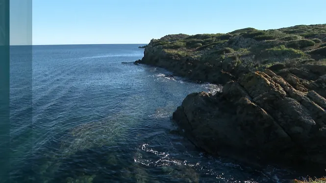 El Temps Migdia 29-11-2025