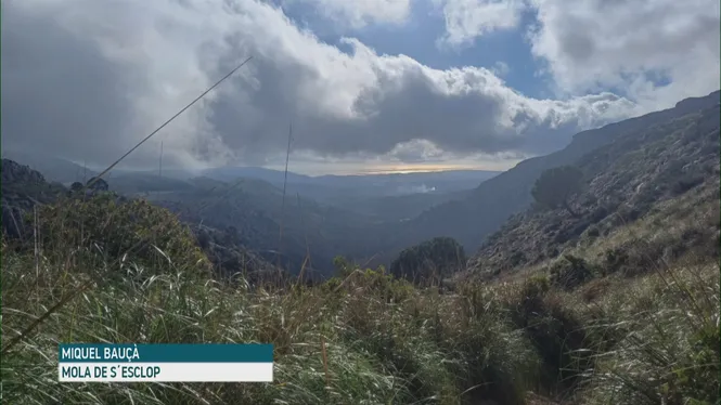 El Temps vespre 09-12-2025