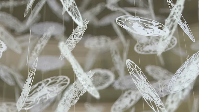 Una pluja de neules torna a il·luminar la parròquia de la Concepció