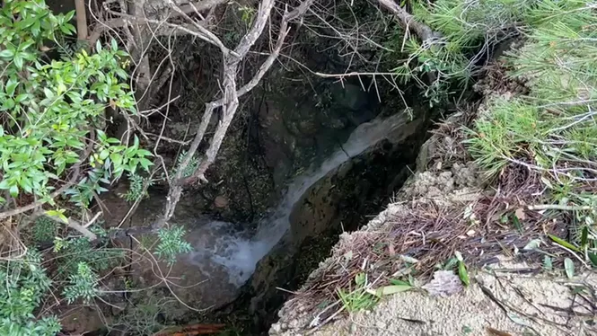 Els Brolls del Toro des Mercadal tornen a rajar