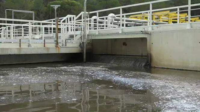 L’Aliança diu que és “insostenible” usar aigua dessalada a la bassa de sa Rota