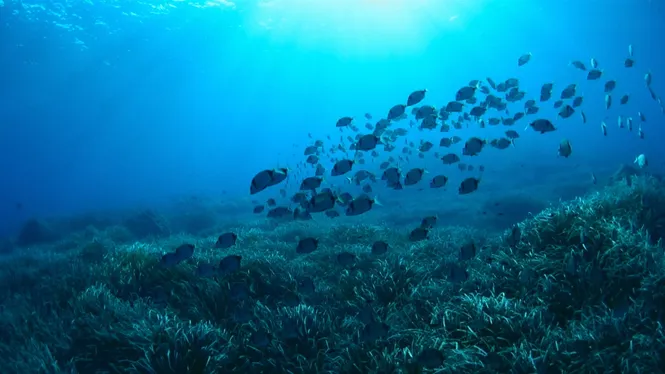 El Temps Migdia 03-03-2026