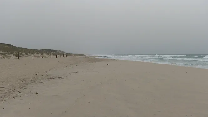 El Temps Vespre 04-03-2026