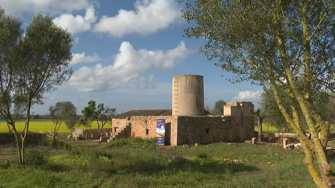 Comença la restauració dels molins del Pla de Sant Jordi